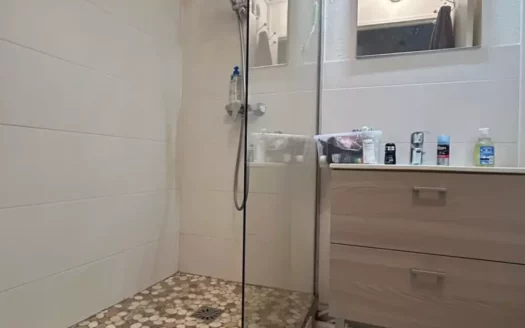 2 PIECES ST GERMAIN CENTRE